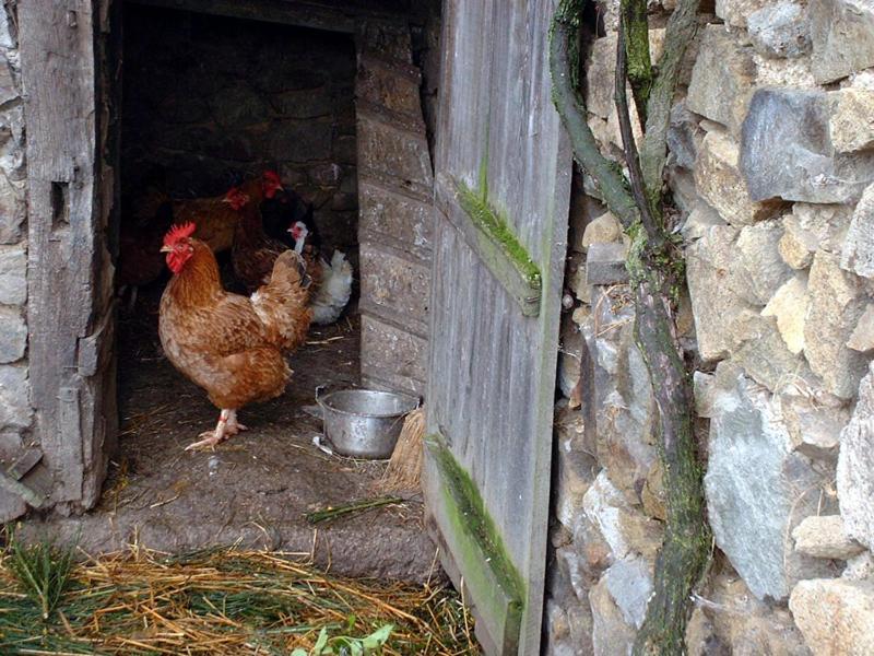 Hotel Le Relais Du Coustoubi Campouriez Dış mekan fotoğraf